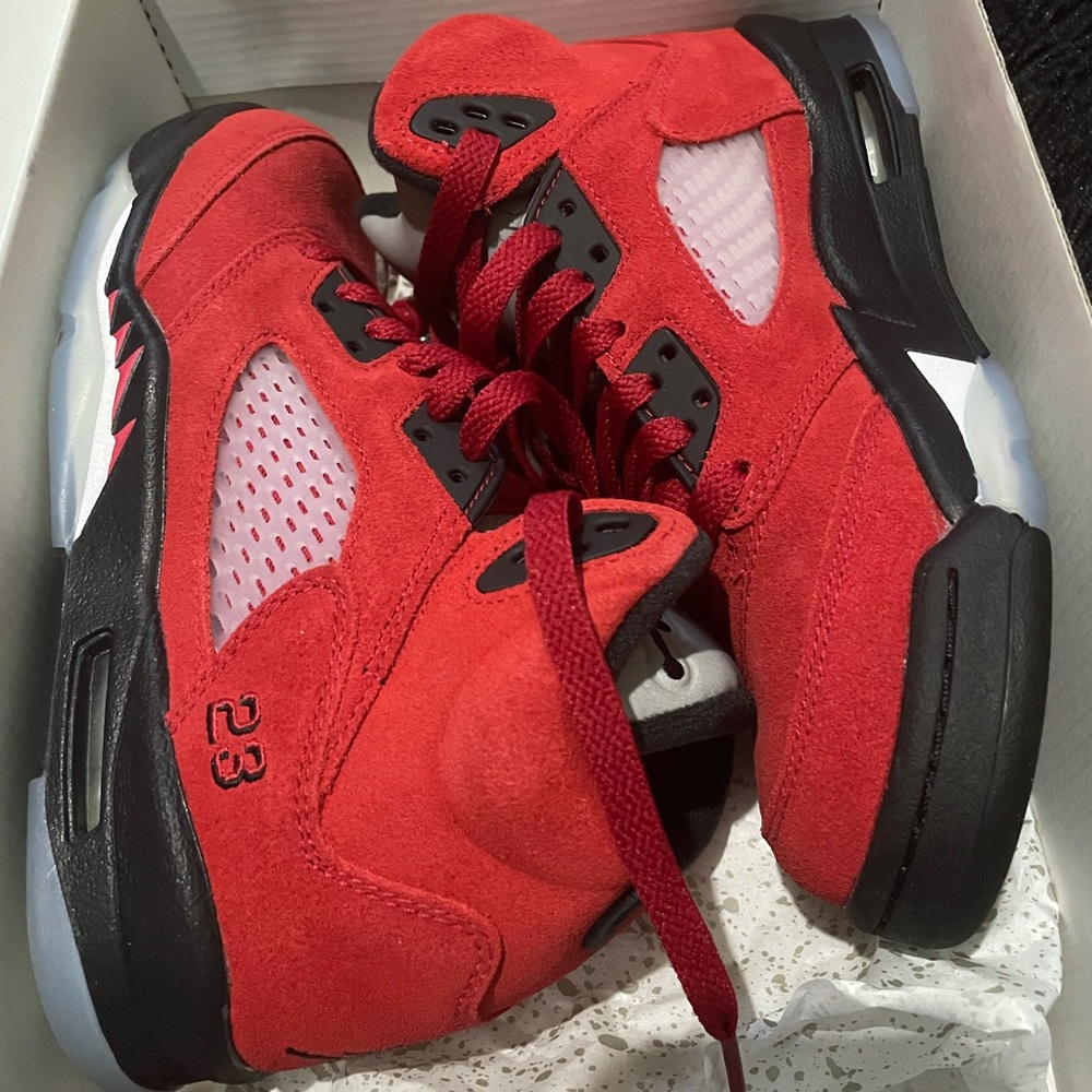 Air Jordan 5s